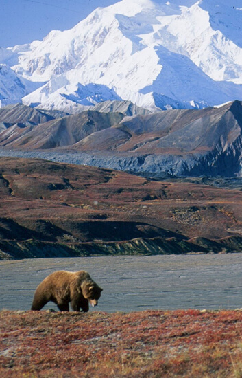 Alaska & the Yukon 